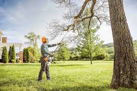 Best Emergency Tree Removal  in Fort Recovery, OH